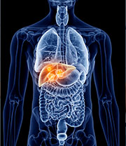 Swelling of the liver or spleen causing discomfort